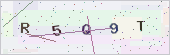 Security code image